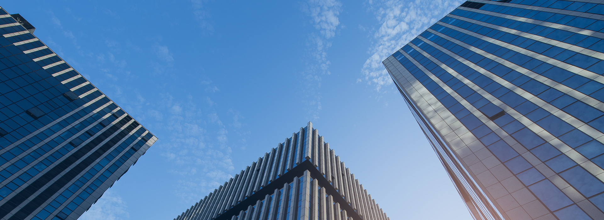 大中專院校食材采購監(jiān)管平臺